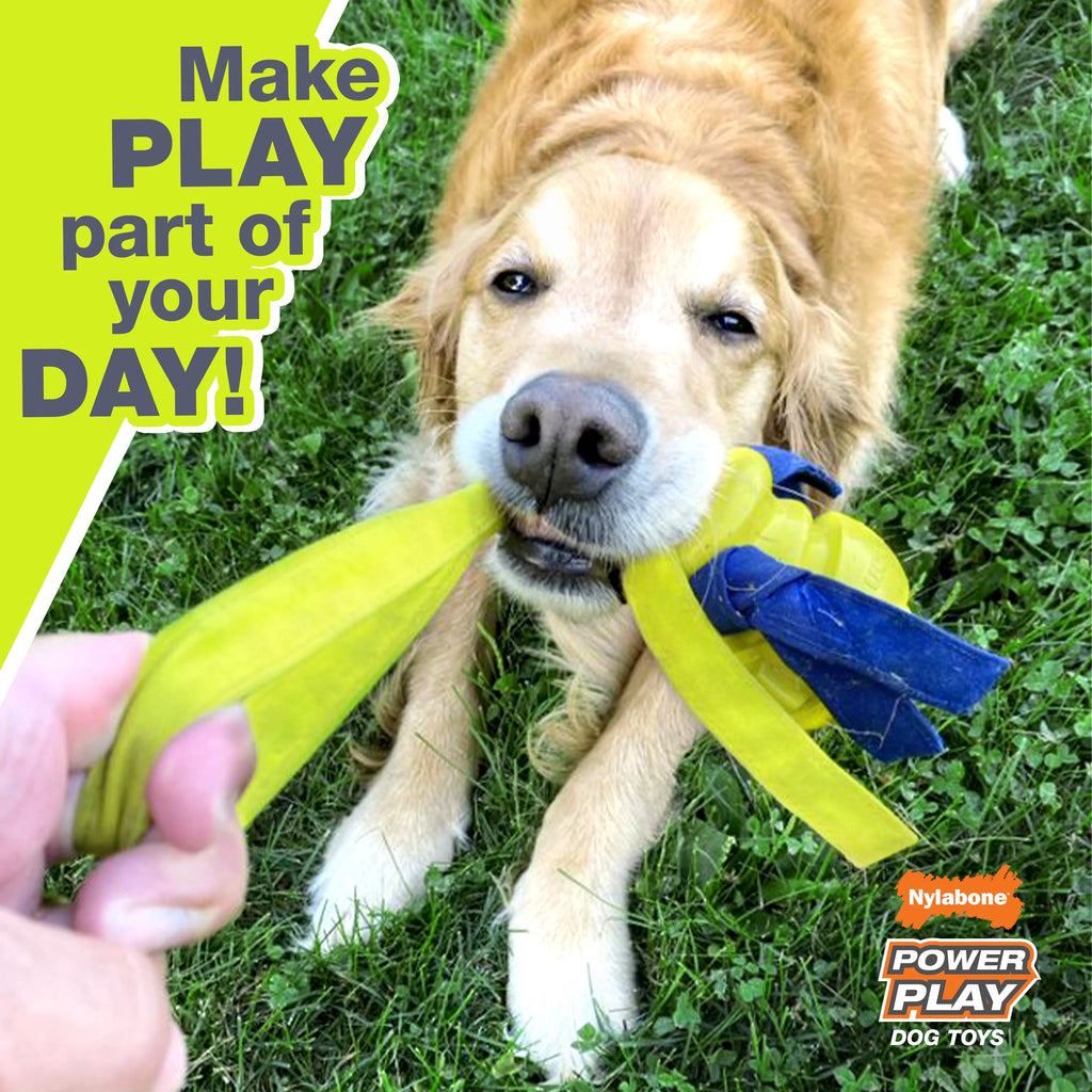Tennis Play 'n Fetch Interactive Dog Toy S640