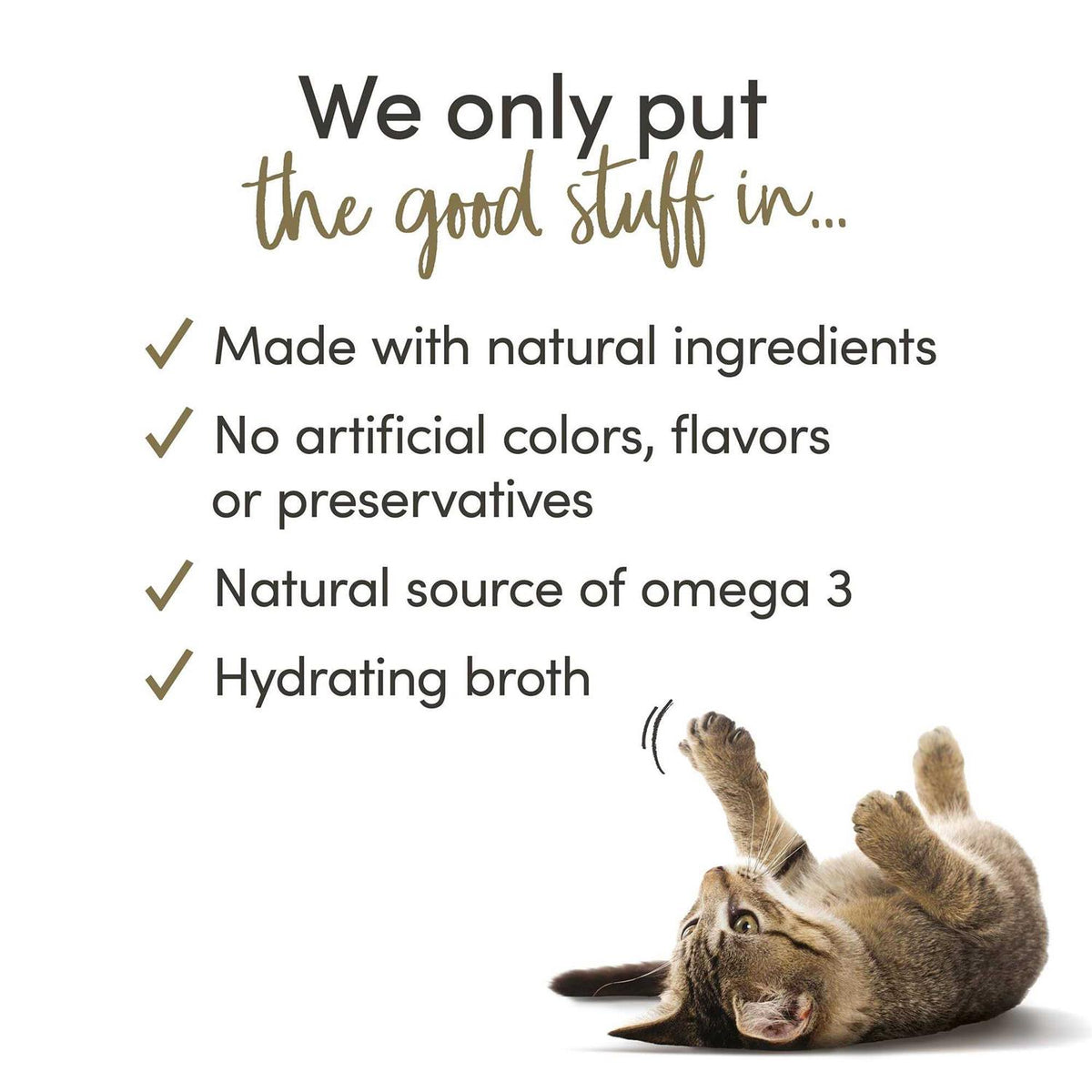 Fish Selection in Broth Wet Cat Food R517553
