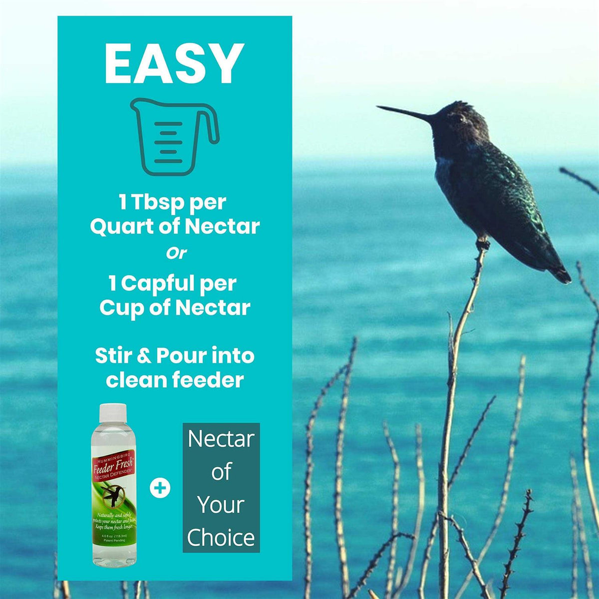 Hummingbird Feeder F34921