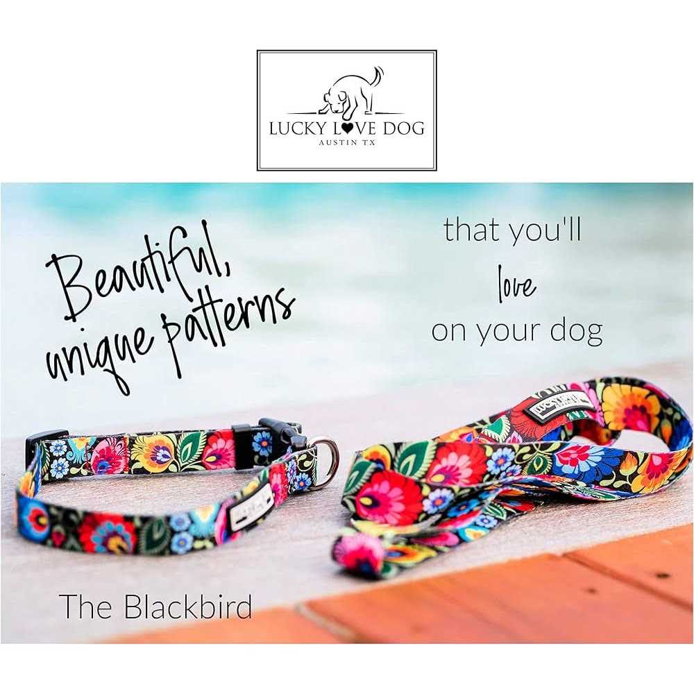 Martingale Dog Collar No Slip B455