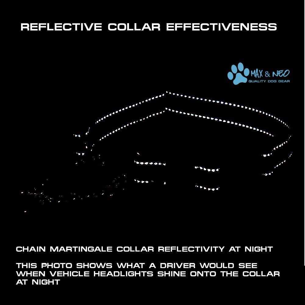 Stainless Steel Chain Martingale Collar U8991