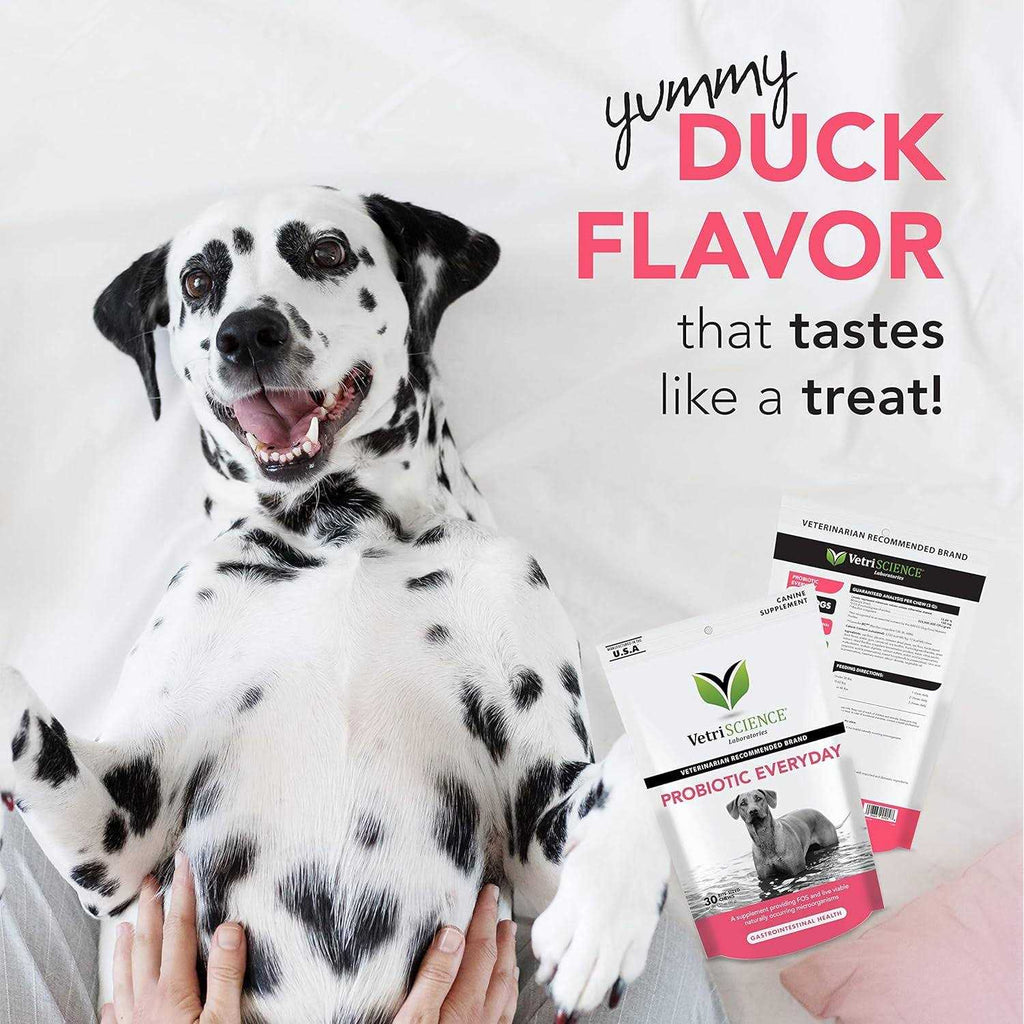 Probiotic Everyday Chews for Dogs X90164