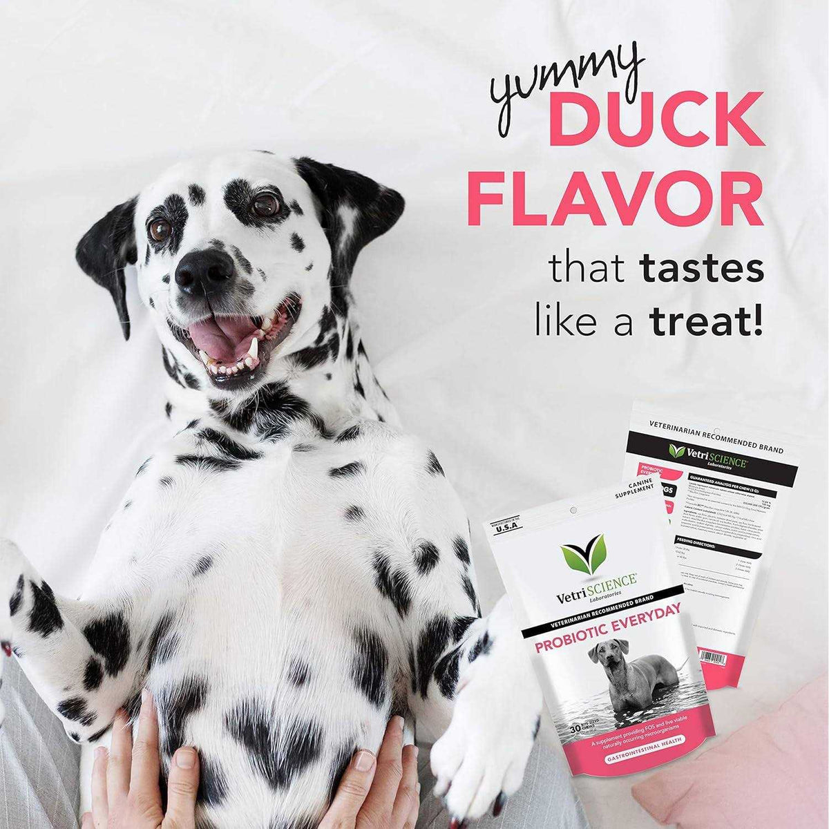 Probiotic Everyday Chews for Dogs X90164