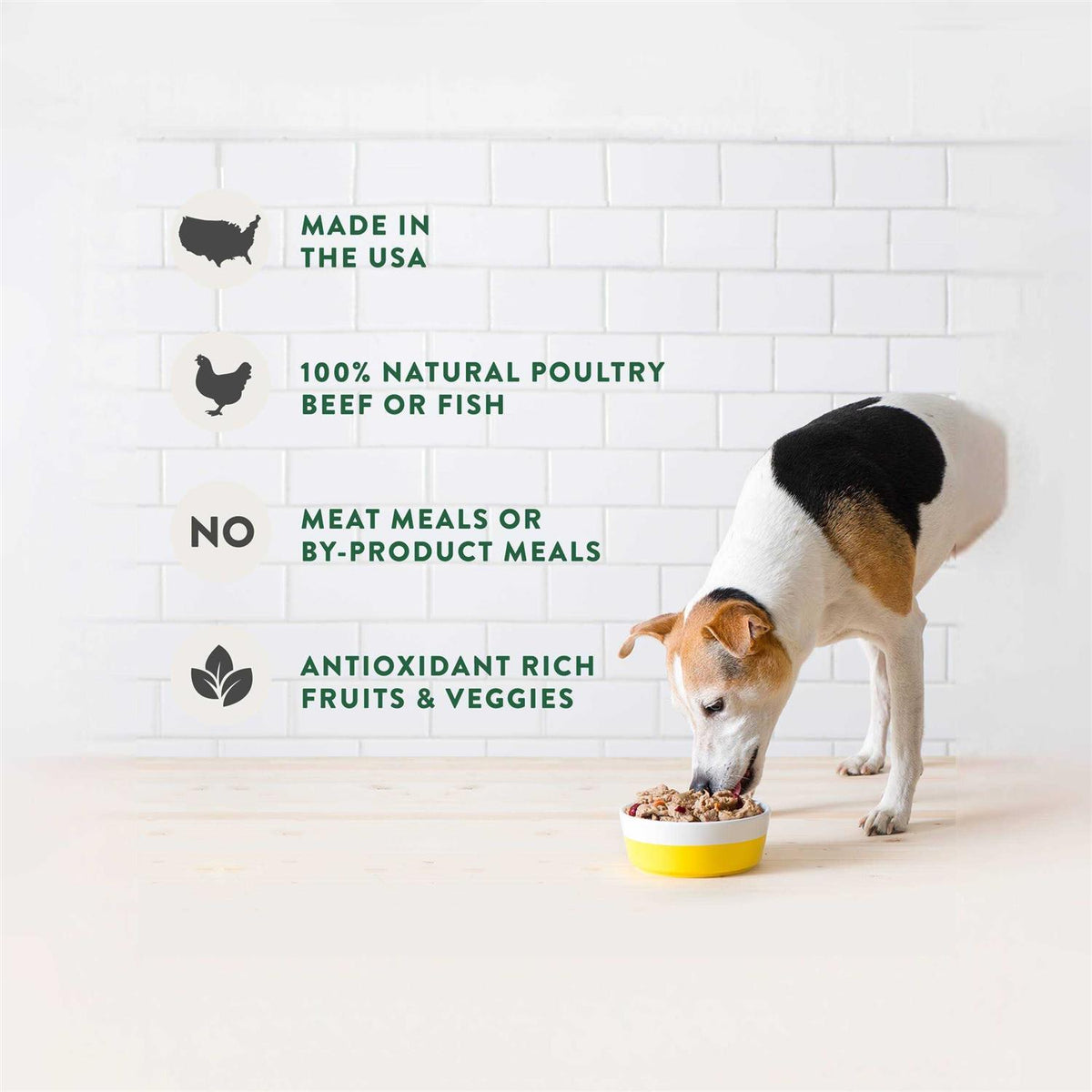 Chunky Beef Recipe Dog Food K7583