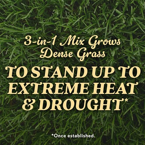 Tall Fescue Blend Grass Seed, 8 lbs. Z63758