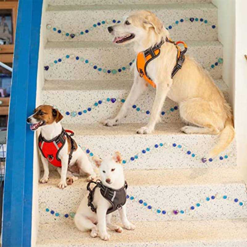 Adjustable Reflective Oxford Dog Harness with 5ft Dog Leash I39312