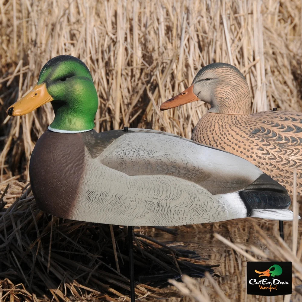 Dozen Mallard Duck Decoy Shells T7510