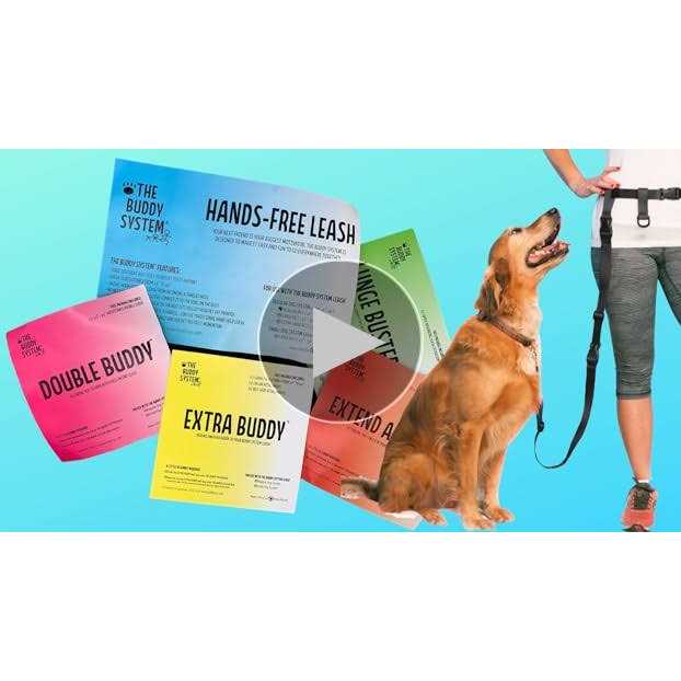 Adjustable Hands Free Dog Leash O8031