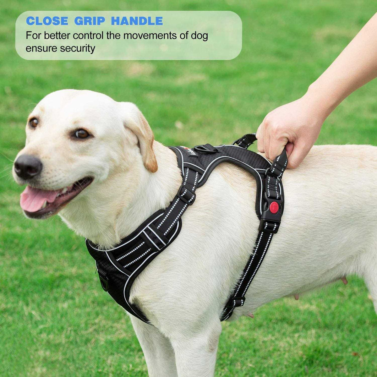 Adjustable Reflective Oxford Dog Harness with 5ft Dog Leash I39312