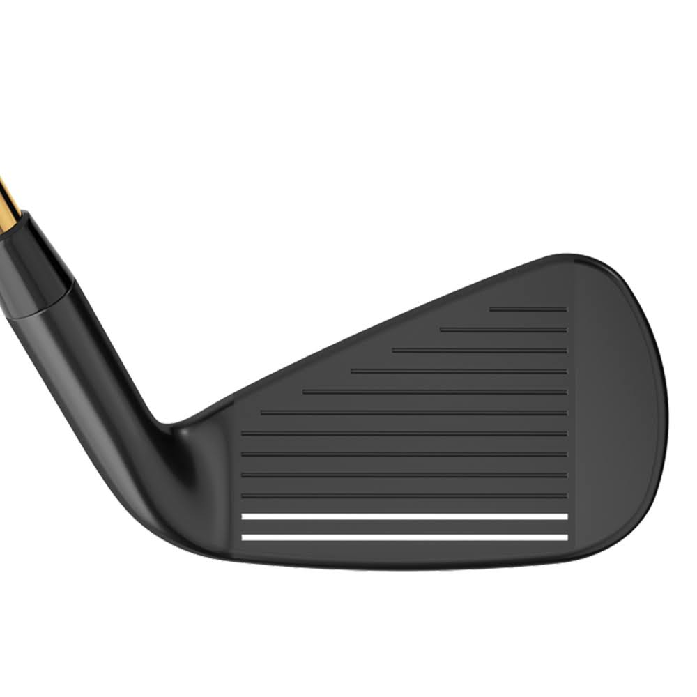 Graphite SW Regular LH Iron S806