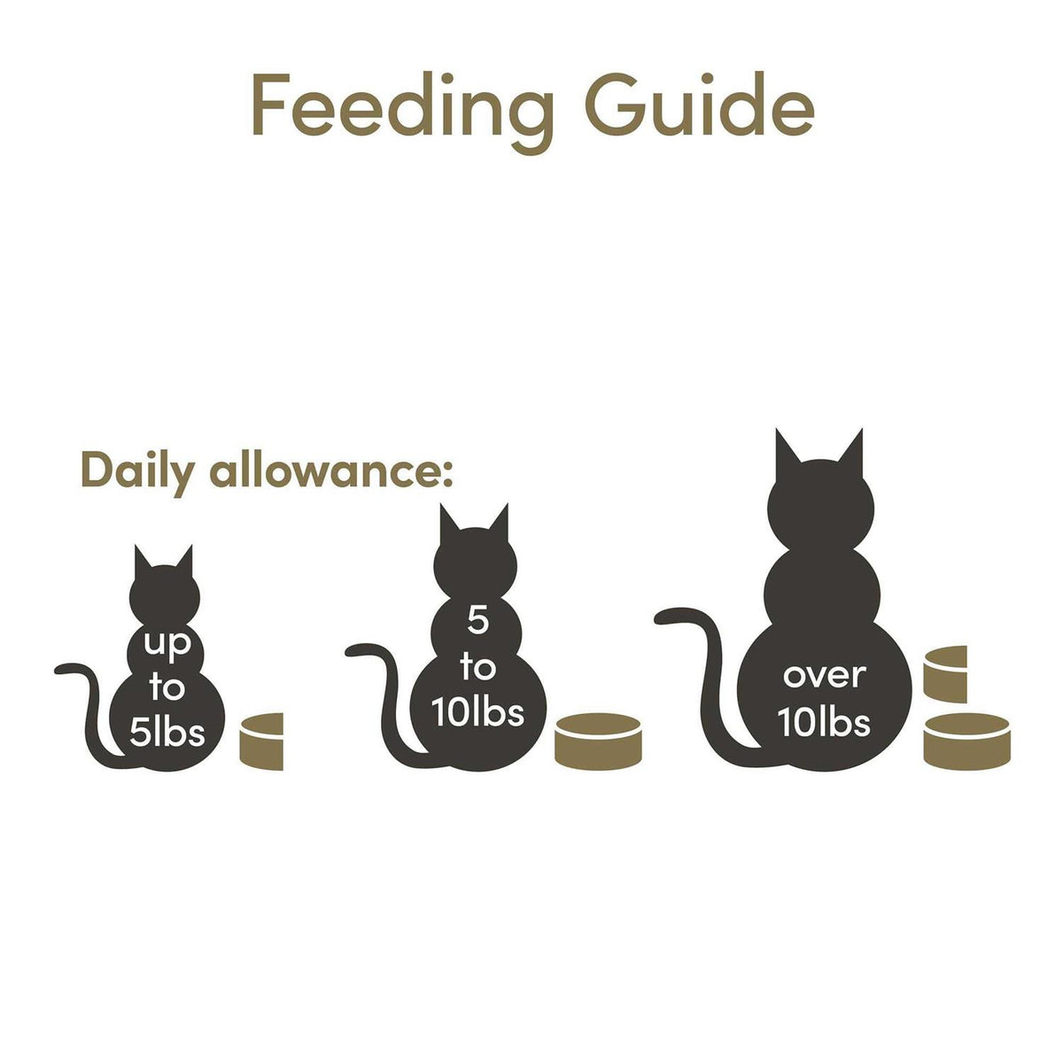 Fish Selection in Broth Wet Cat Food R517553