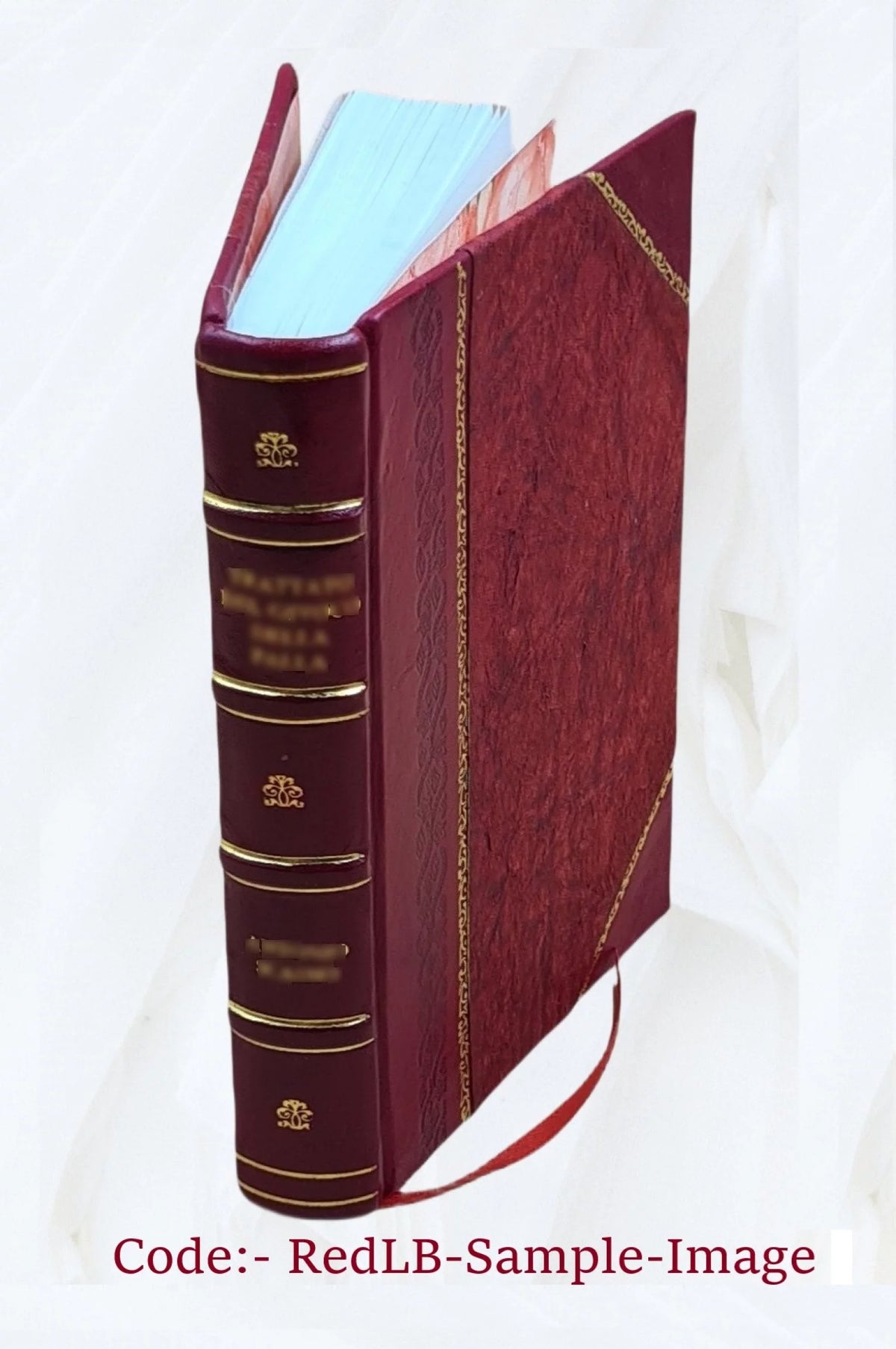 État de la maison du roi Louis XIII A997211