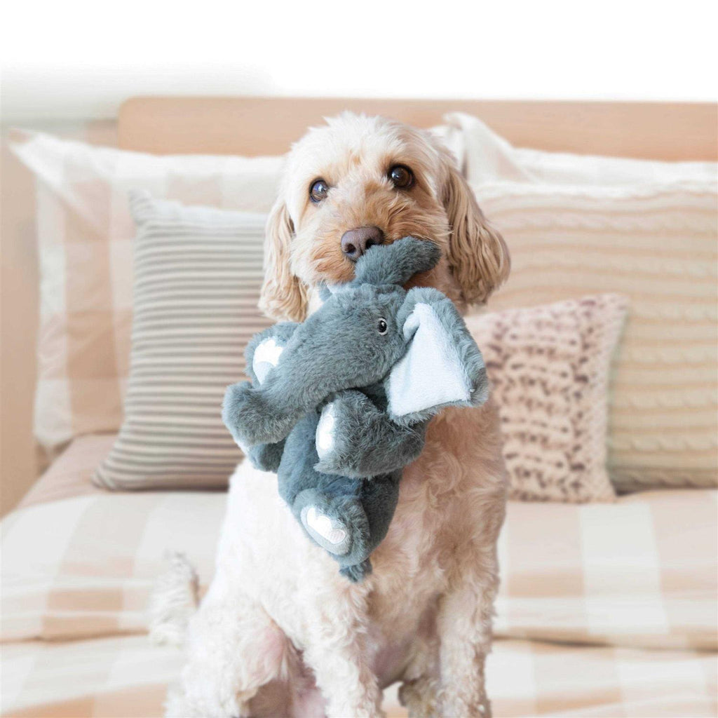 Dog Toy C340