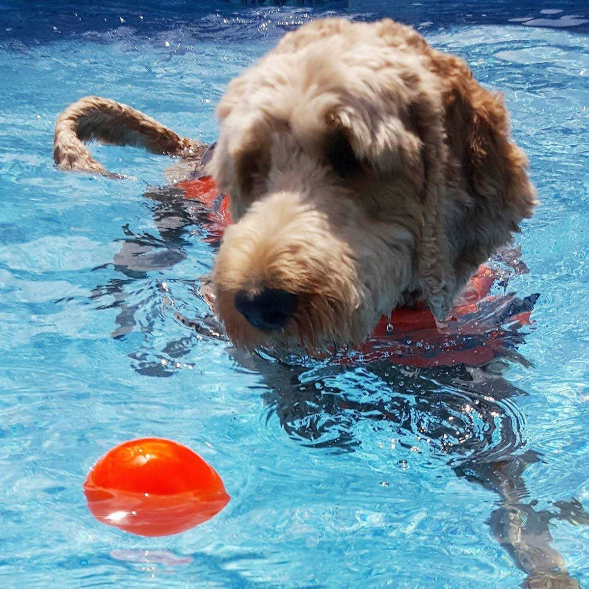 Indestructible Dog Toy Ball Q8962