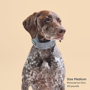 GPS Dog Fence H9924