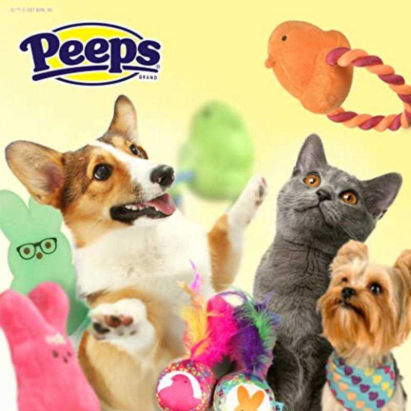 Chick 5 Inch Plush Dog Toy J433