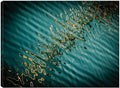 32x24 Fine Art Canvas W872