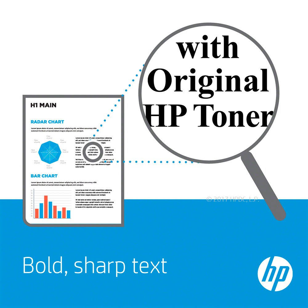 High Yield Black Toner Cartridge L30300