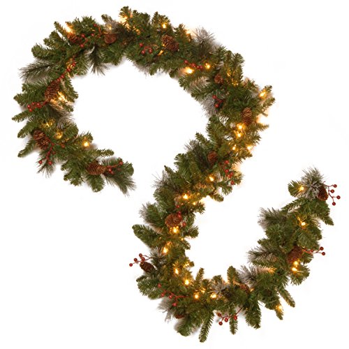 9 ft Pre-Lit Artificial Christmas Garland with 50 Warm White LED Lights F465765