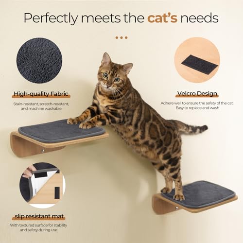Cat Wall Shelves and Perch with Scratching Cushion V165