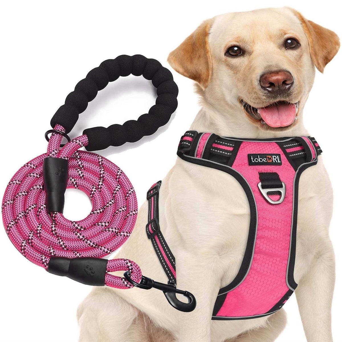 Adjustable Reflective Oxford Dog Harness with 5ft Dog Leash I39312