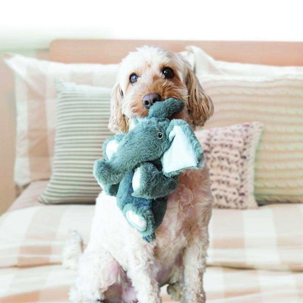 Dog Toy K71515