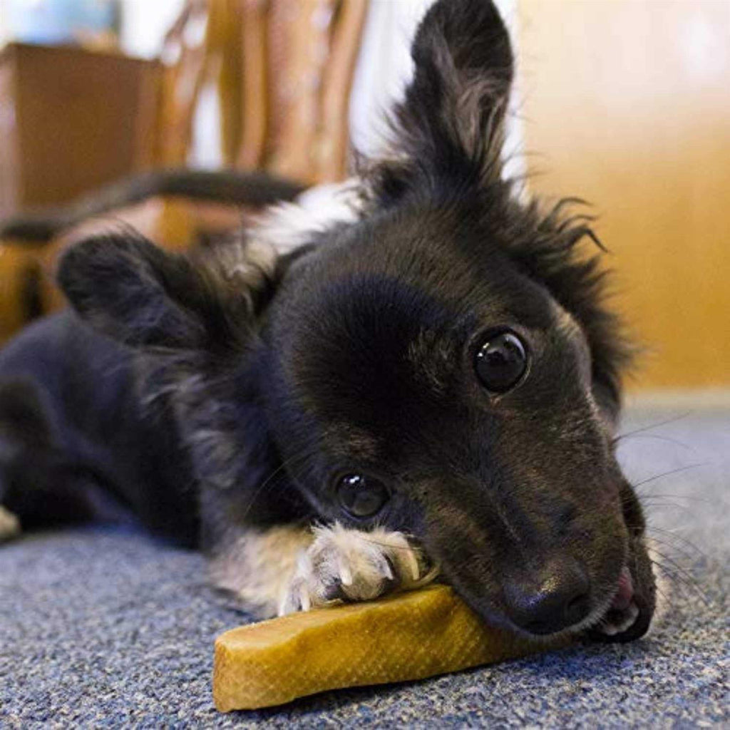 Himalayan Yak Cheese Dog Chew J84602