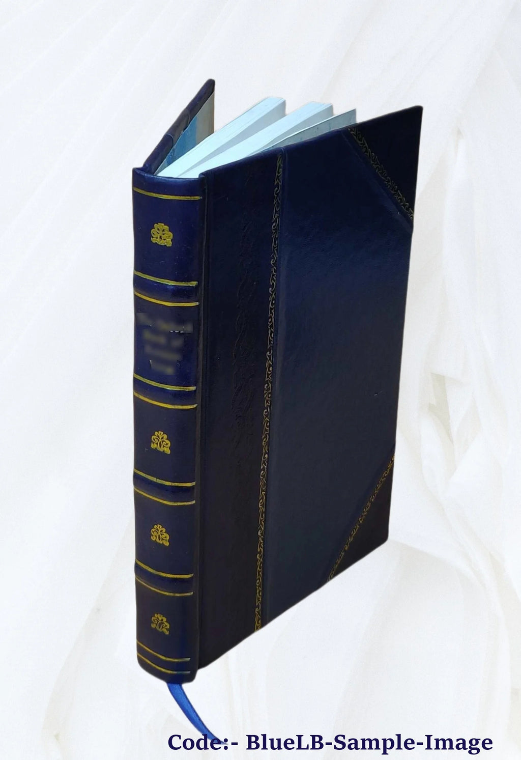 Leather Bound Book B733142