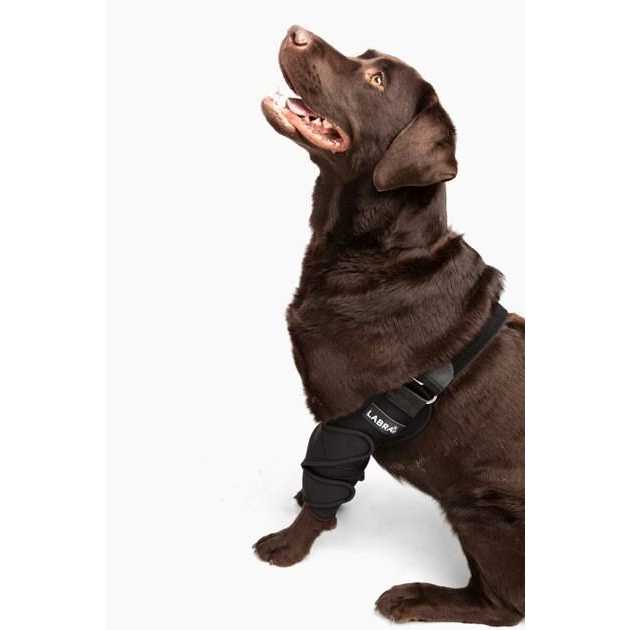 Dog Shoulder Elbow Brace Leg Wrap U751811