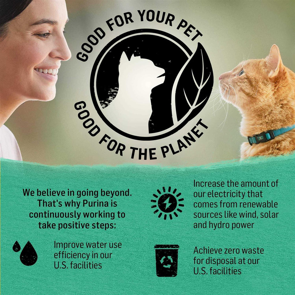 Grain Free Dry Cat Food T715