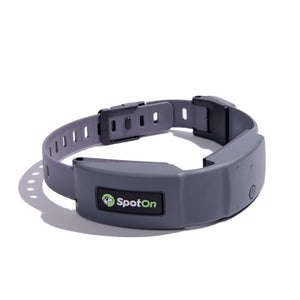GPS Dog Fence H9924