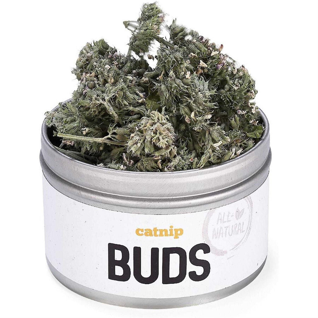 Catnip Buds O992