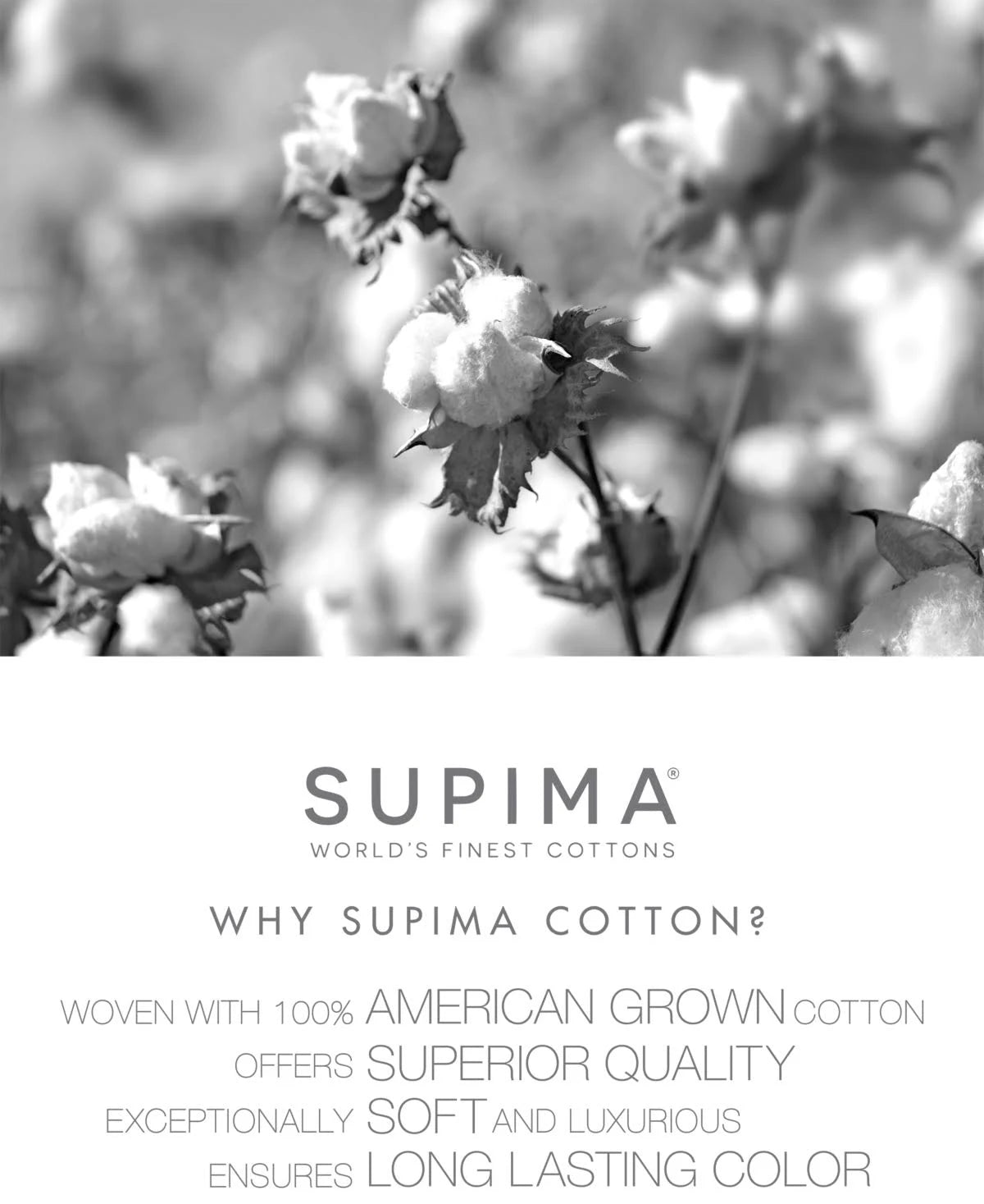 680 Thread Count Supima Cotton Extra Deep Pocket King Flat Sheet F2859