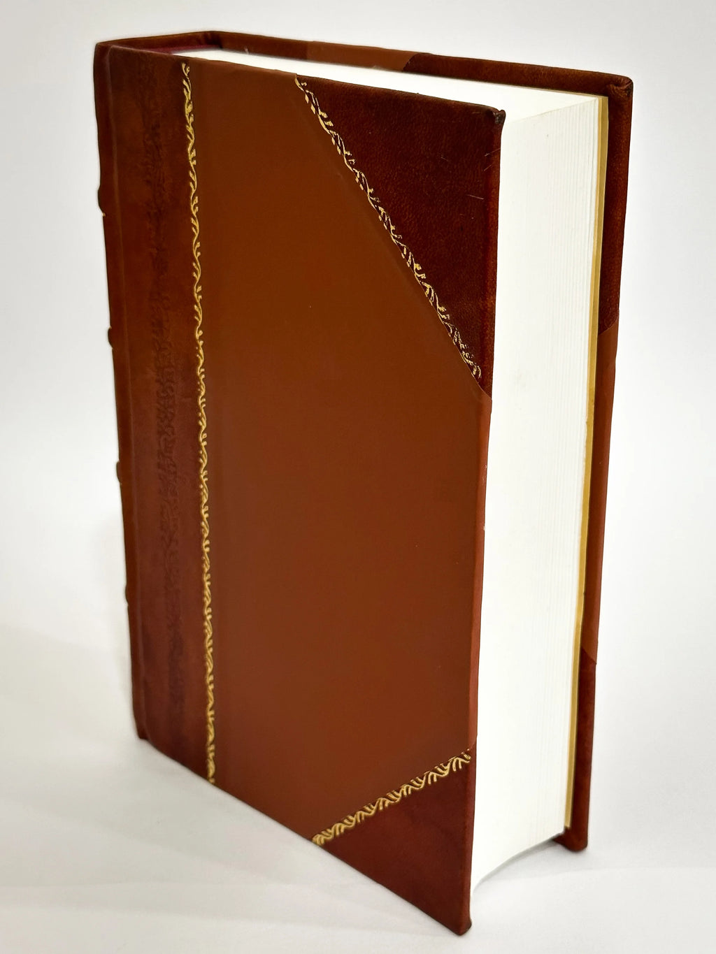 Leather Bound Physiology Book S786