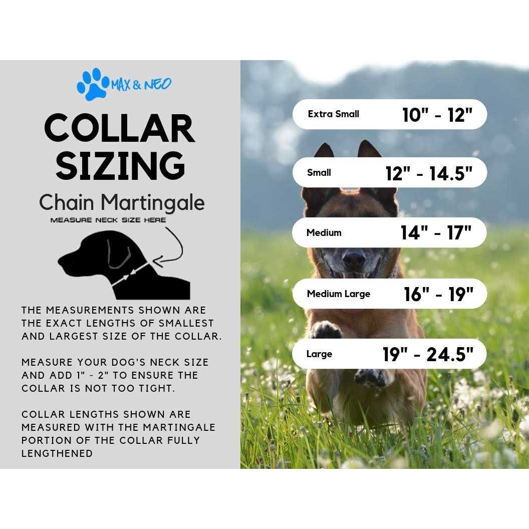 Stainless Steel Chain Martingale Collar U8991