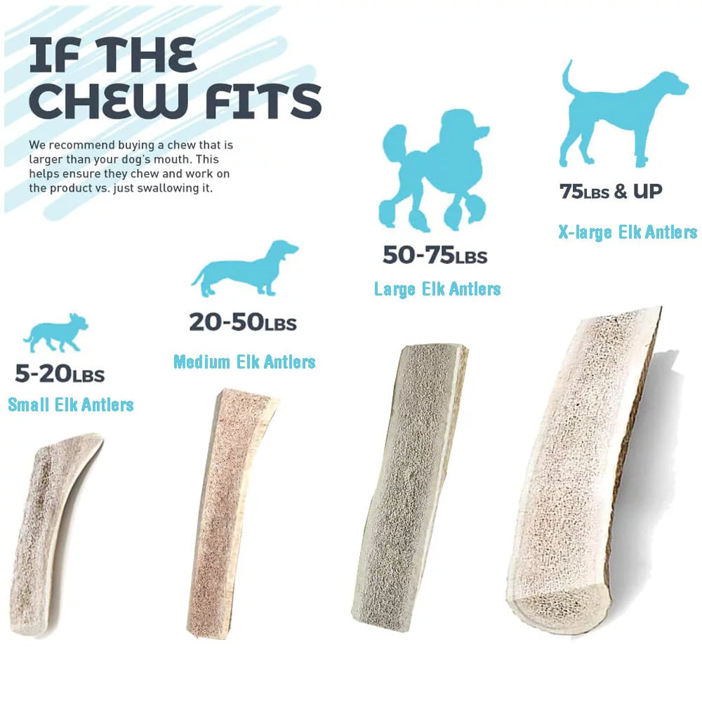 6 Inch Naturally Shed Elk Antler Dog Chews 3 Pack K414
