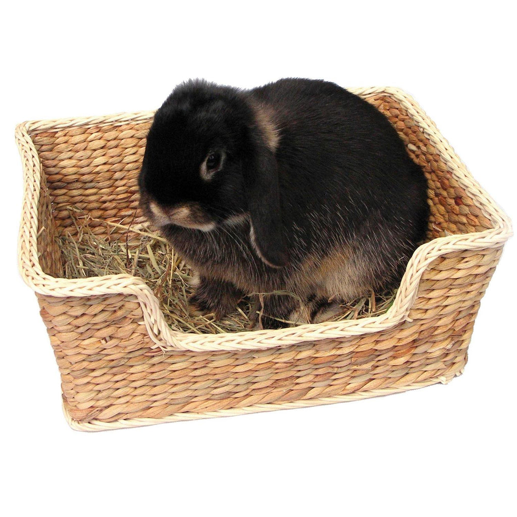 Small Pet Bed L4602