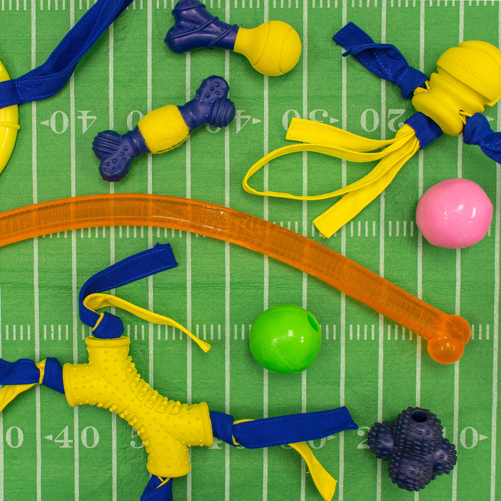 Tennis Play 'n Fetch Interactive Dog Toy S640