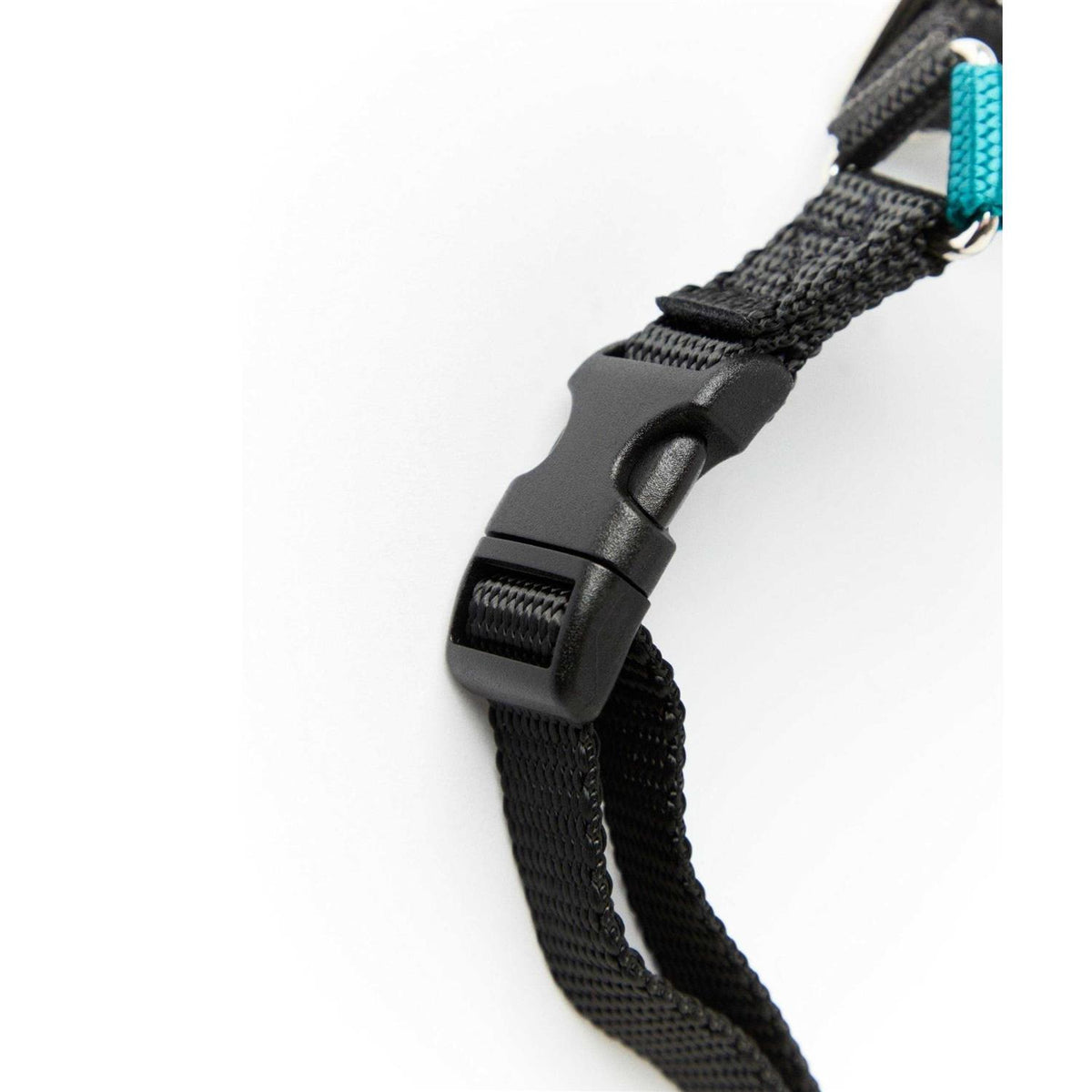 Dog Harness C837163