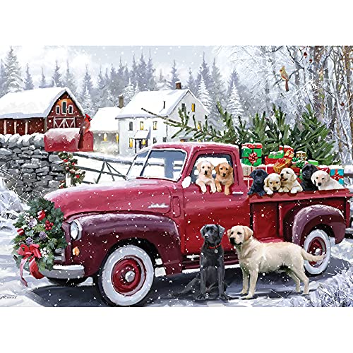 500 Piece Jigsaw Puzzles K587