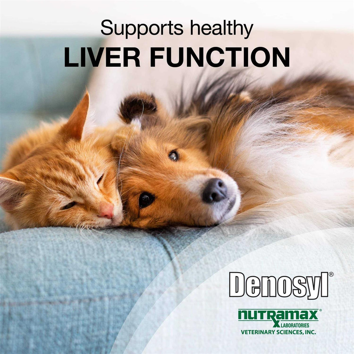 Liver and Brain Health Supplement for Small Dogs & Cats T541915