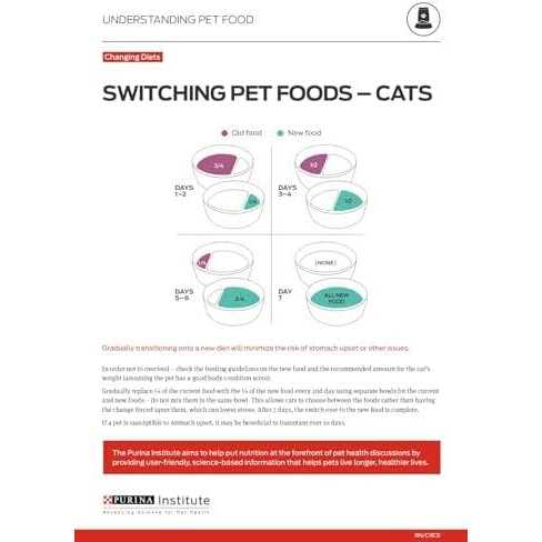 Kitten Dry Food N6930