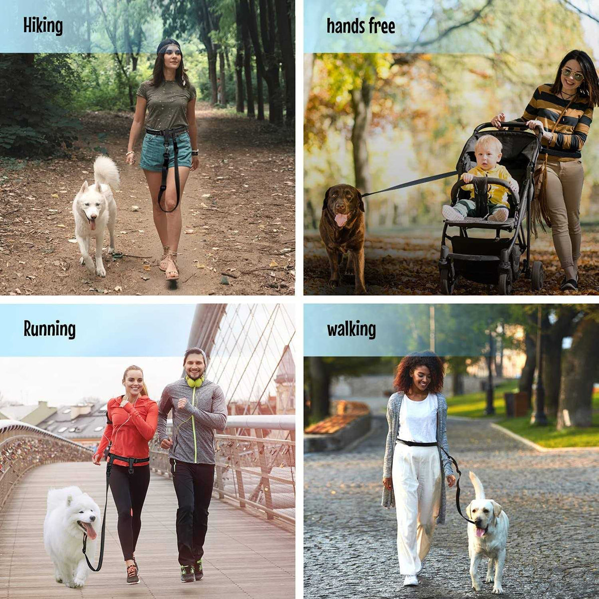 Adjustable Hands Free Dog Leash O8031