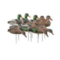 Dozen Mallard Duck Decoy Shells T7510