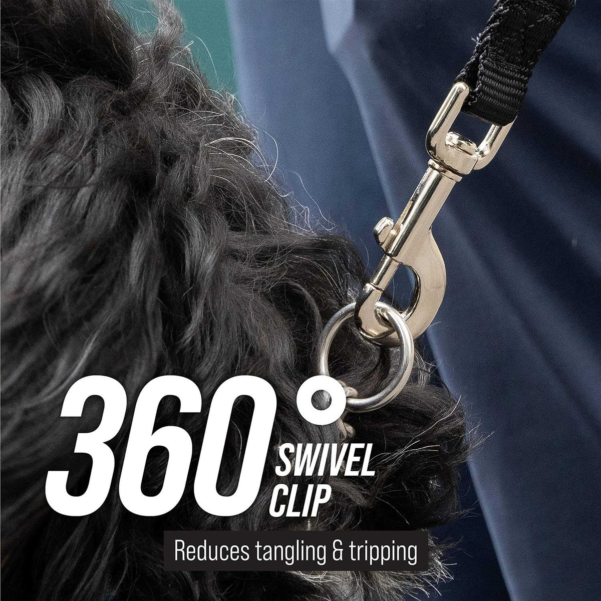 Dog Leash J586