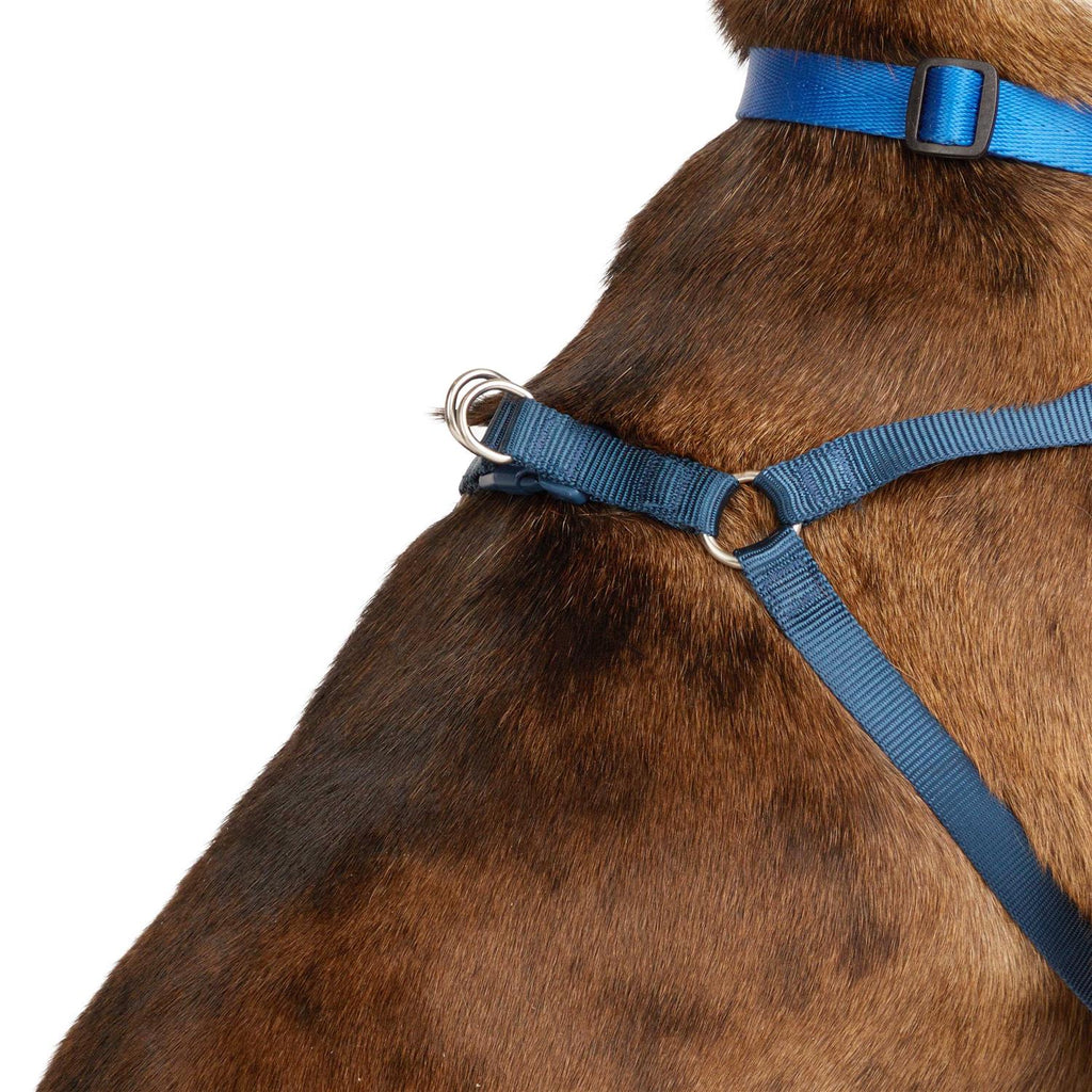 Padded Step-in Dog Harness Z852364