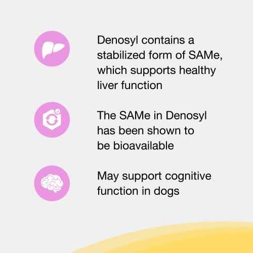 Liver and Brain Health Supplement for Small Dogs & Cats T541915