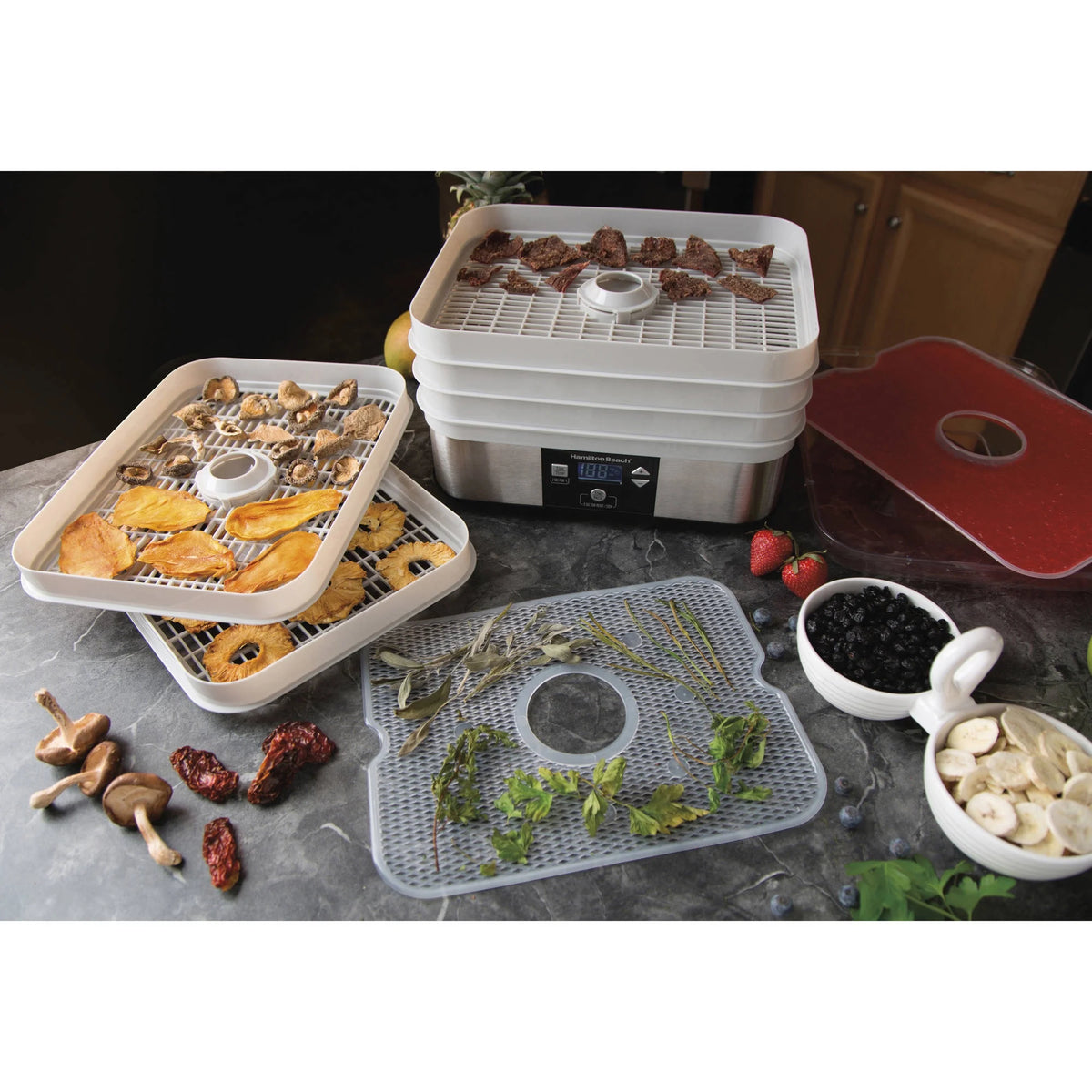 5 Shelf Digital Food Dehydrator T965557