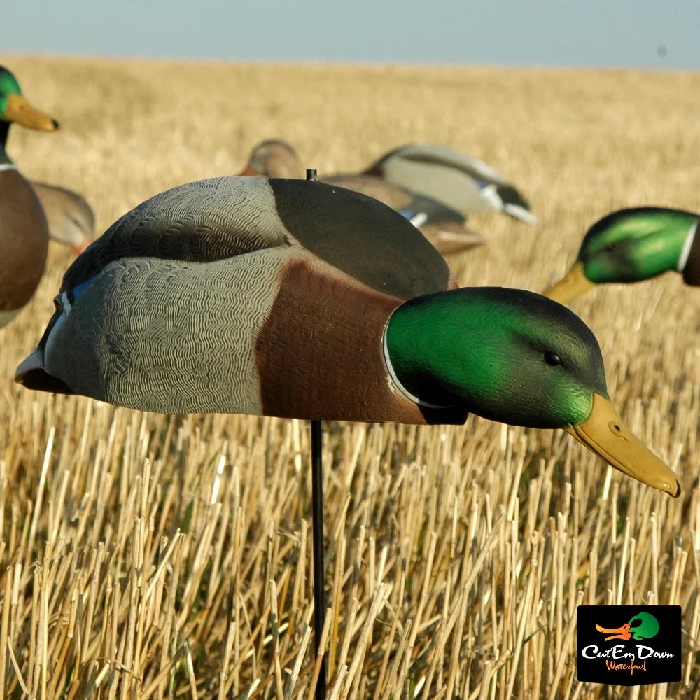 Dozen Mallard Duck Decoy Shells T7510