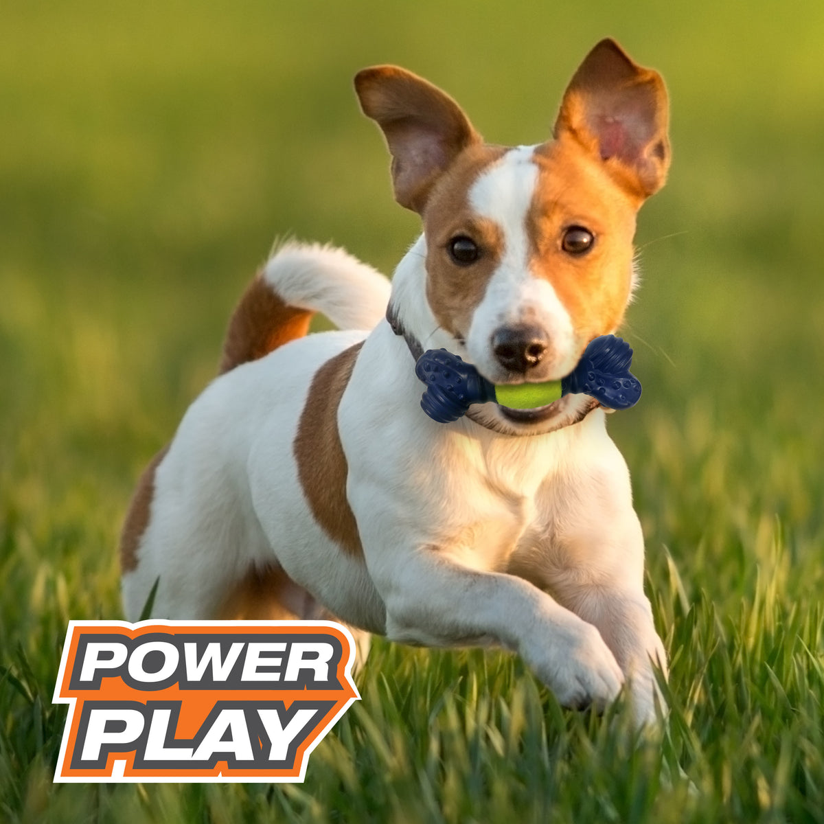 Tennis Play 'n Fetch Interactive Dog Toy S640